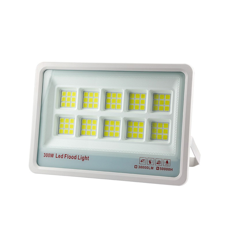 COB high power led lfood light outdoor